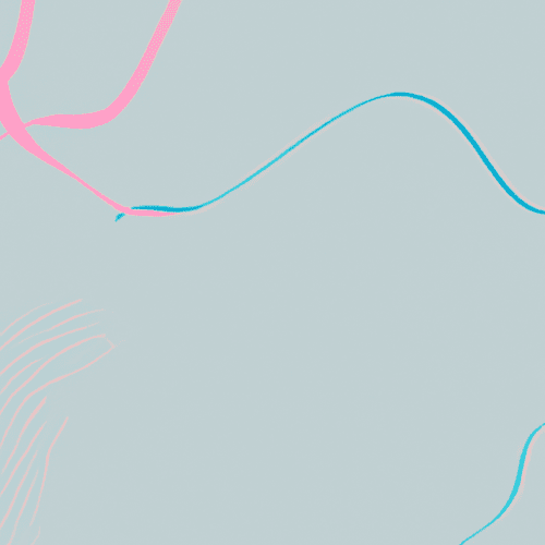 Why the Same Pill Works for Some People but Not Others